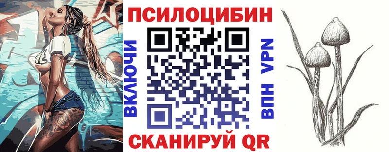 Псилоцибиновые грибы Psilocybe  Купить где  Андреаполь 